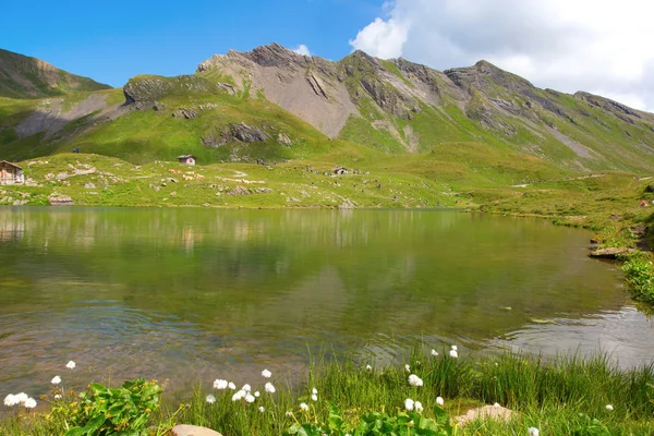 İsviçre Alpleri'nde hiking — Stok fotoğraf