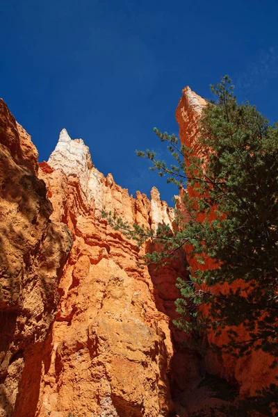 De Bryce Canyon — Stockfoto