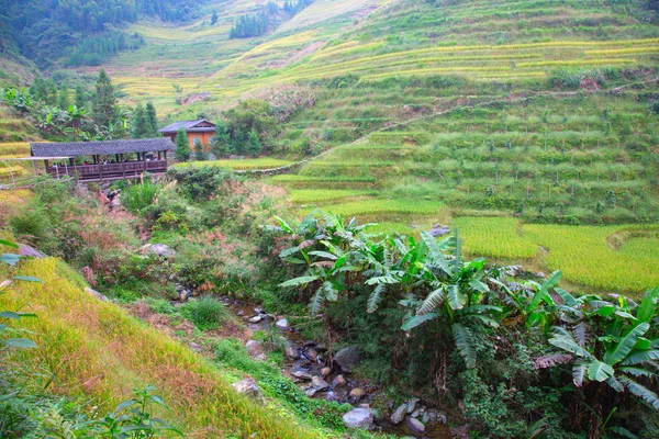 Terraços de arroz longji — Fotografia de Stock