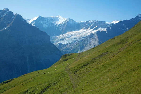 Wandern in den Schweizer Alpen — Stockfoto