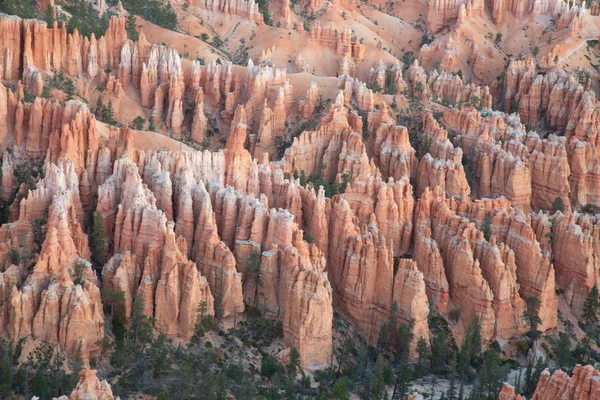 Bryce Canyon. — Fotografia de Stock