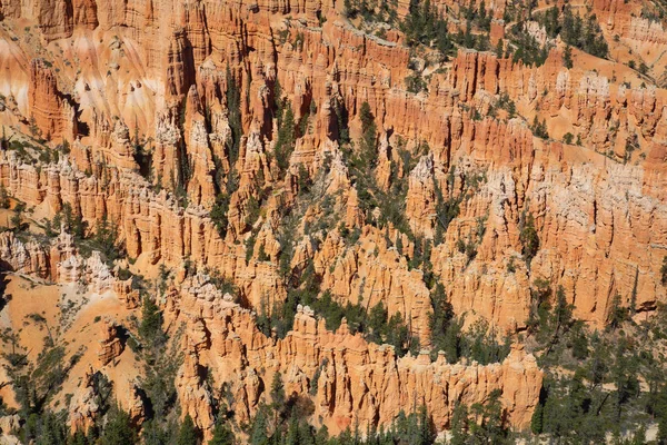 Bryce-schlucht — Stockfoto