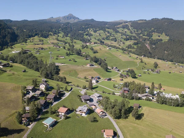 Grindelwald — Stok fotoğraf