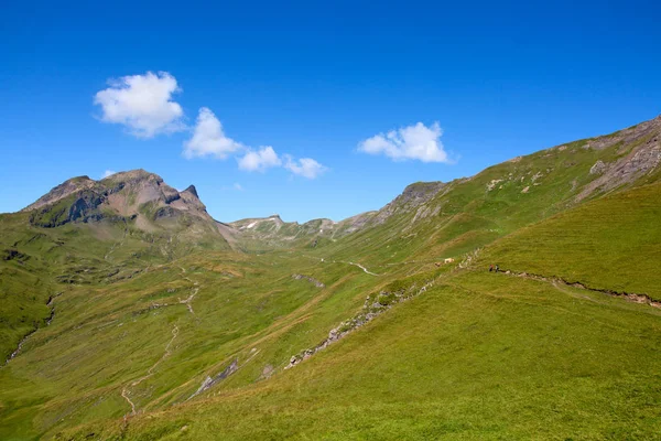 Wandelen in de Zwitserse Alpen — Stockfoto