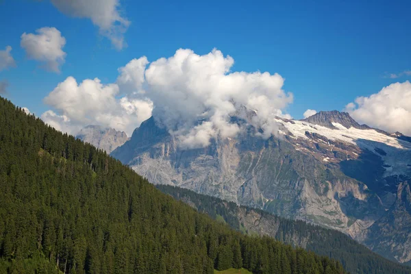 Wandern in den Schweizer Alpen — Stockfoto