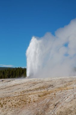 Yellowstone Ulusal Parkı 'ndaki üst gayzer havzası, ABD