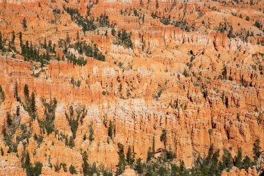 Bryce Canyon Ulusal Parkı Utah, ABD