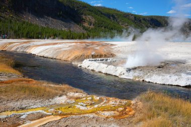 Yellowstone Ulusal Parkı 'ndaki kara kum gayzer havzası, ABD