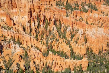Bryce Canyon Ulusal Parkı Utah, ABD