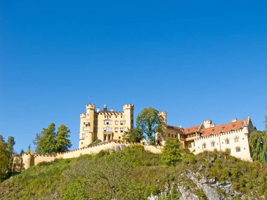 Almanya 'nın Bavyera Alplerindeki Neuschwanstein kalesi