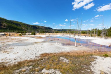 Yellowstone Ulusal Parkı 'ndaki kara kum gayzer havzası, ABD
