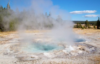 Yellowstone Ulusal Parkı 'ndaki üst gayzer havzası, ABD