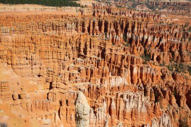 Bryce Canyon Ulusal Parkı Utah, ABD