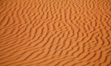 Suudi Arabistan, Riyad yakınlarında kırmızı kum 