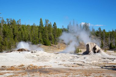 Yellowstone Ulusal Parkı 'ndaki üst gayzer havzası, ABD