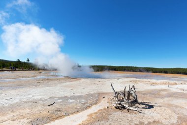 Yellowstone Ulusal Parkı 'ndaki üst gayzer havzası, ABD