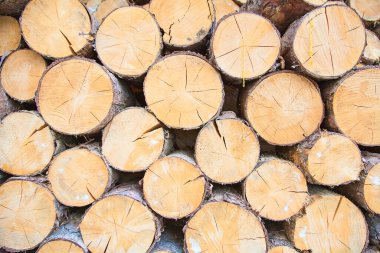 Yıpranmış doğal ahşap doku arka planı