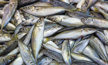 Piyasada taze balık