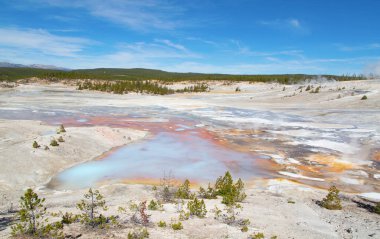 Norris gayzer havzası Yellowstone Ulusal Parkı, ABD