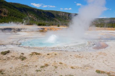 Yellowstone Ulusal Parkı 'ndaki kara kum gayzer havzası, ABD