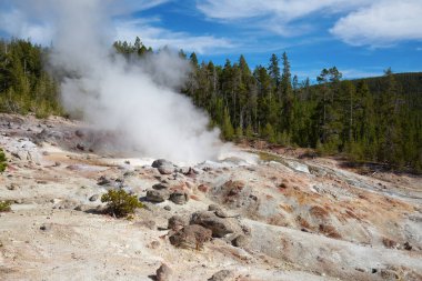 Norris gayzer havzası Yellowstone Ulusal Parkı, ABD