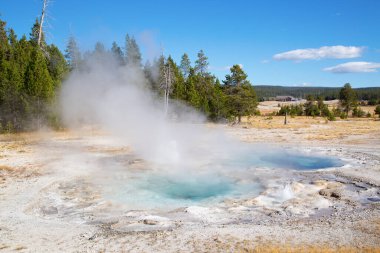 Yellowstone Ulusal Parkı 'ndaki üst gayzer havzası, ABD