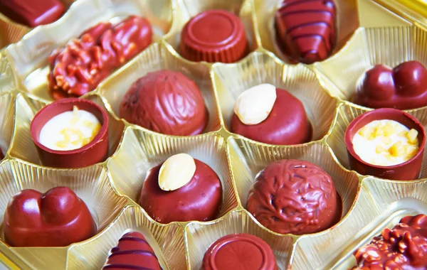 Variety Hand Made Swiss Chocolate — Stock Photo, Image