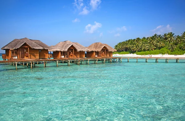 Petite Île Aux Maldives Couverte Palmiers Entourée Eaux Bleu Turquoise — Photo