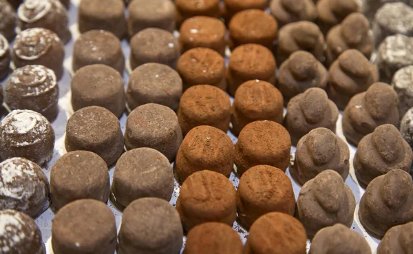 Variety Hand Made Swiss Chocolate — Stock Photo, Image