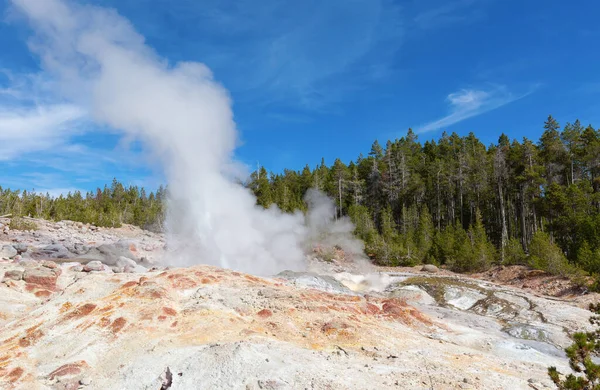 Cuenca Del Géiser Norris Parque Nacional Yellowstone Estados Unidos — Foto de Stock