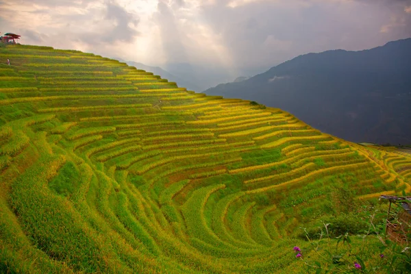 Las Terrazas Arroz Longsheng Dragon Backbone También Conocidas Como Terrazas —  Fotos de Stock