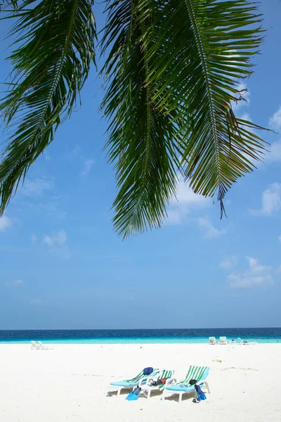 Pequeña Isla Las Maldivas Cubierta Palmeras Rodeada Aguas Azul Turquesa — Foto de Stock