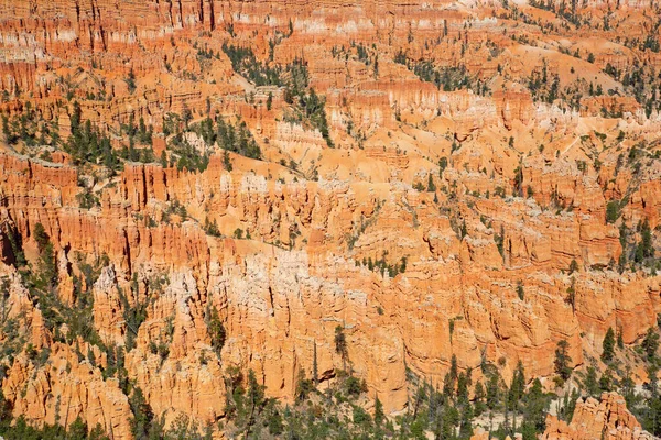 Národní Park Bryce Canyon Utahu Usa — Stock fotografie