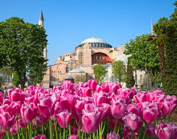 Haghia Aya Sophia Famosa Iglesia Mezquita Estambul —  Fotos de Stock