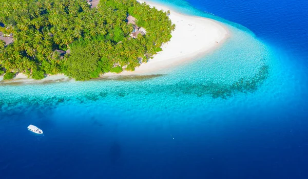 Pequeña Isla Las Maldivas Cubierta Palmeras Rodeada Aguas Azul Turquesa —  Fotos de Stock