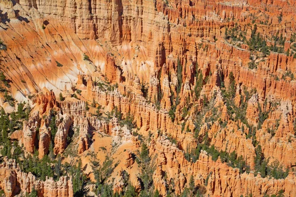 Parque Nacional Canyon Bryce Utah Eua — Fotografia de Stock