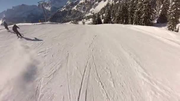 Skiing Swiss Alps Winter — Stock Video