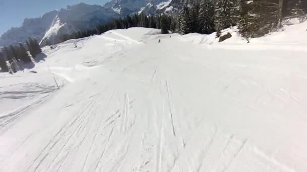 Skifahren Den Schweizer Alpen Winter — Stockvideo