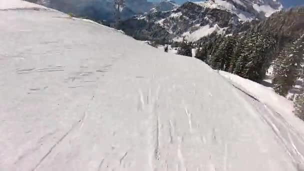 Σκι Ελβετικές Άλπεις Χειμώνα — Αρχείο Βίντεο