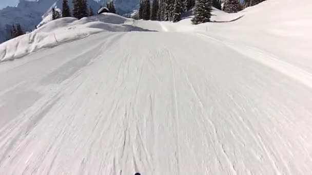 Skifahren Den Schweizer Alpen Winter — Stockvideo