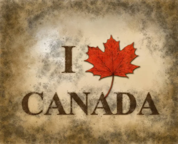 我爱加拿大 — 图库照片
