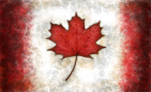 Vlag van Canada — Stockfoto