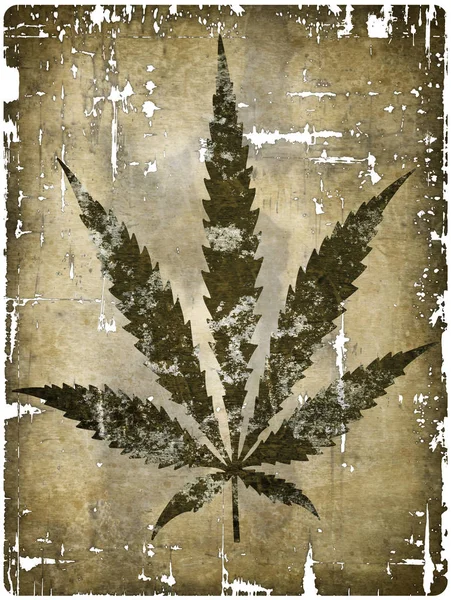 Hemp leaf — Stock Photo, Image