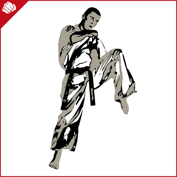 Artes marciales. Escena de silueta de luchadora de karate. Vector. EPS . — Vector de stock