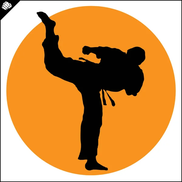 Kampfkunst. Karate-Kämpfer kämpfen gegen Trainingsplakat Silhouette Szene. — Stockvektor