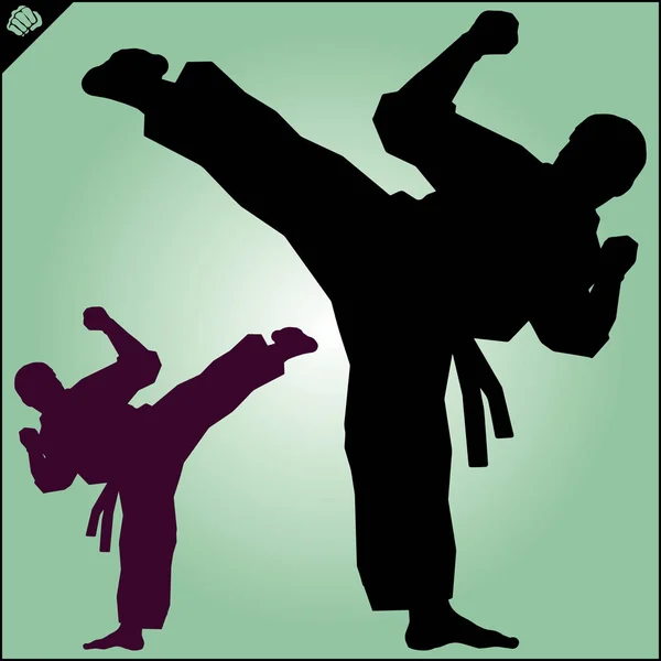 Kampfkunst farbiges Simulationsdesign. Karate emblem. — Stockvektor