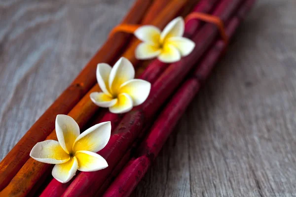 Zen Style Still Life With Plumeria — Stock Photo, Image