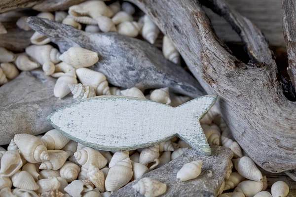 Natura morta nautica con pesci — Foto Stock