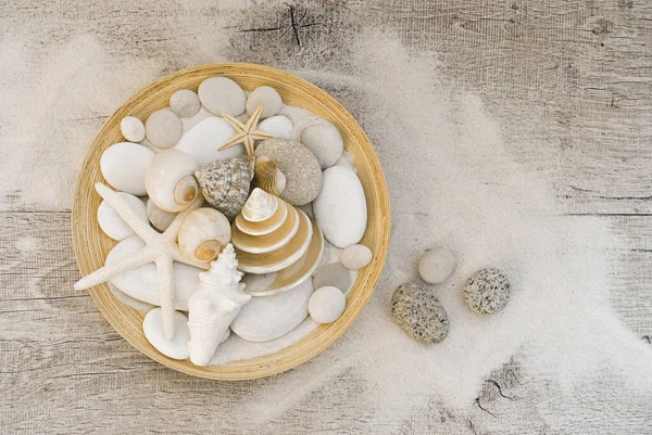Coastal Still Life Bowl With Shells — Stock Photo, Image