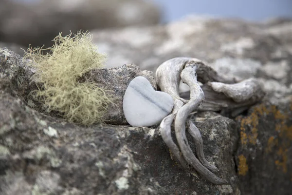 Stone Heart And Driftwood On Rock — Stock fotografie